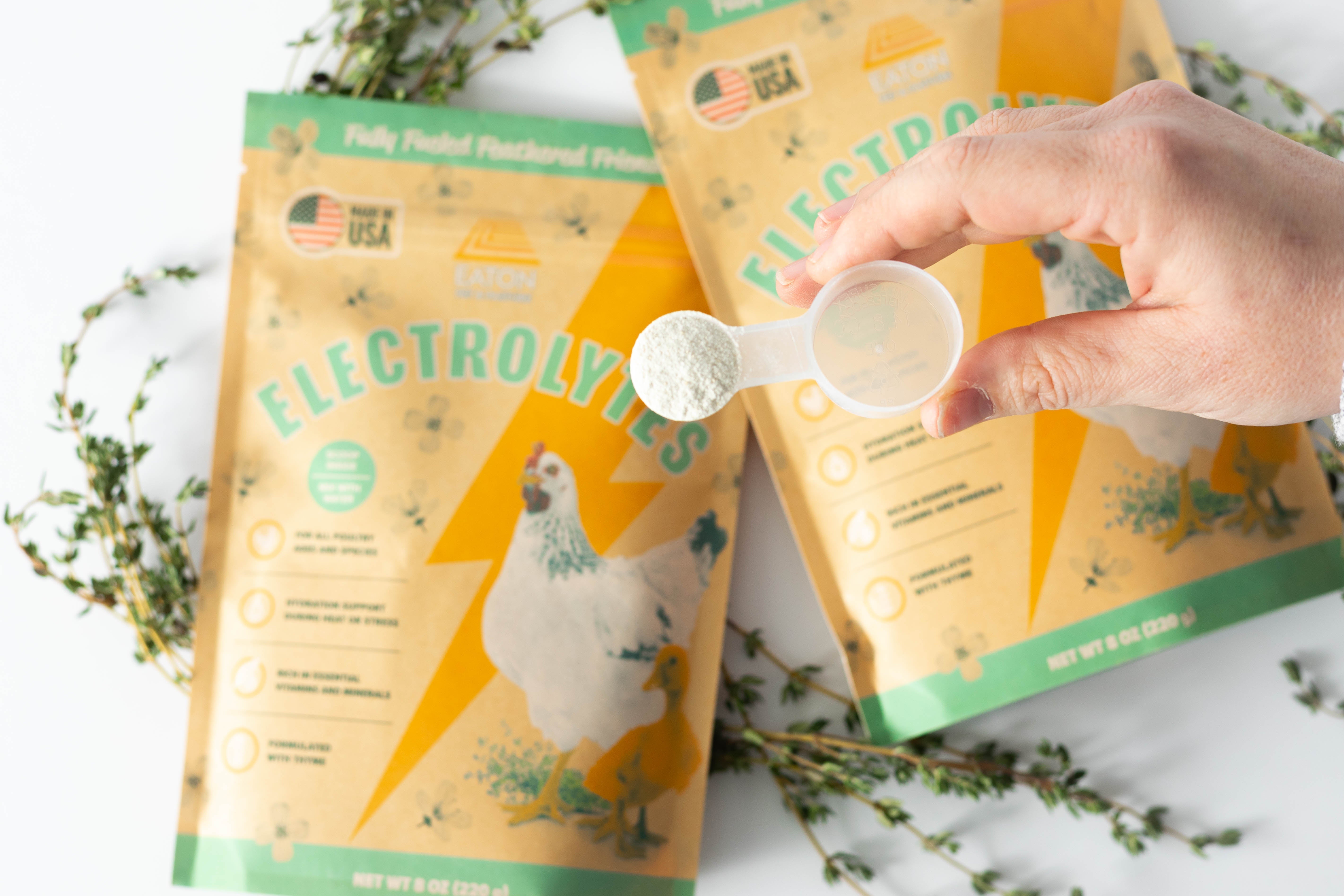 Chicken Electrolytes: Why Every Backyard Flock Needs Electrolytes for Heat Stress, Hydration & Recovery