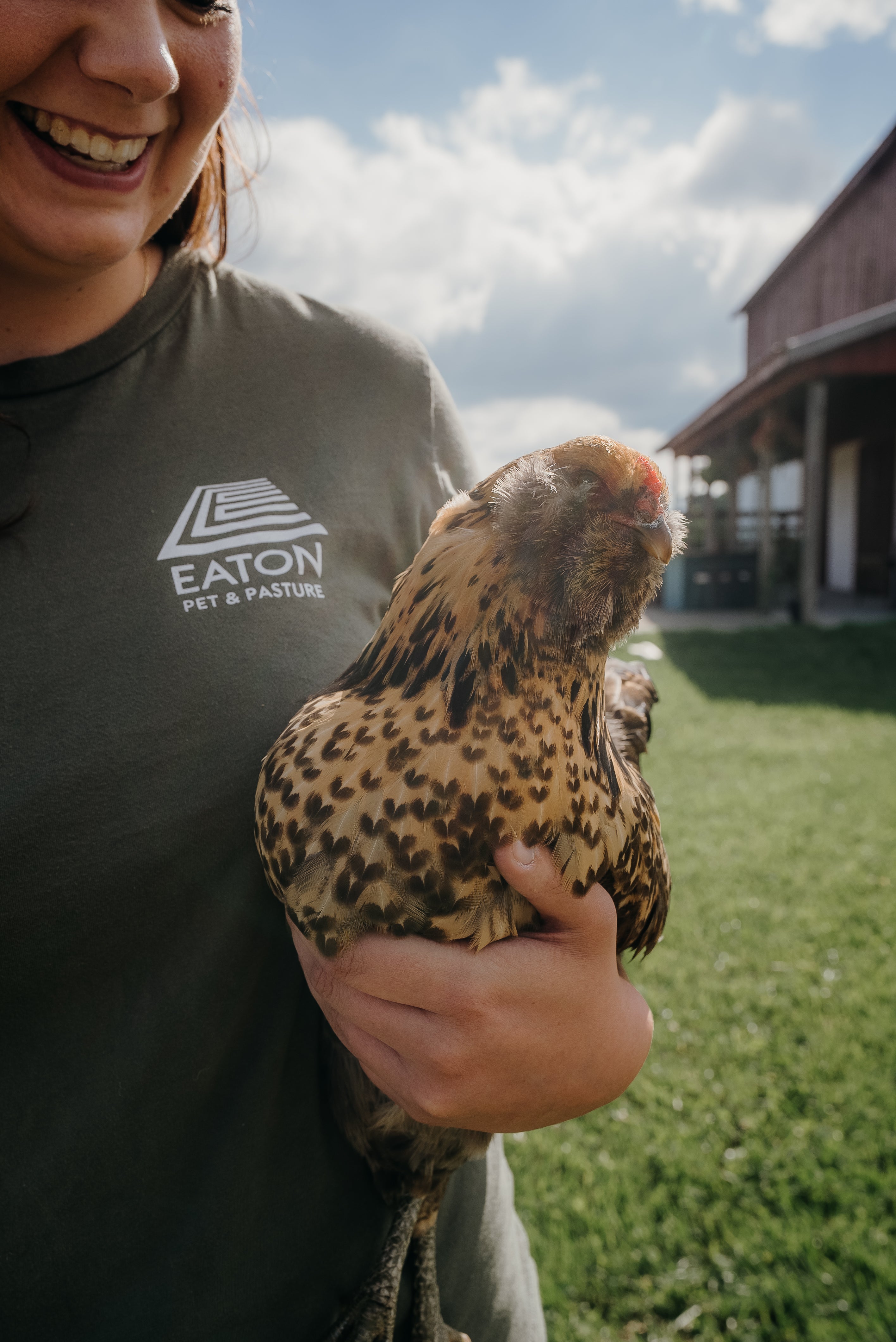5 Must-Haves for Every Backyard Chicken Keeper