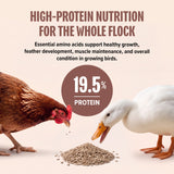 Organic Premium All Flock Pellets