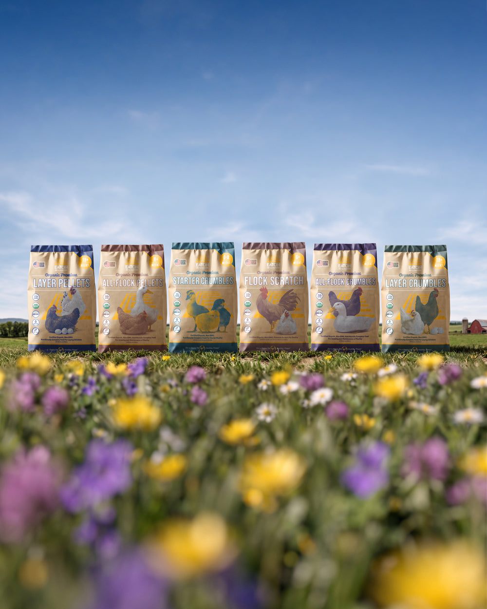 ORGANIC FEED IS HERE!