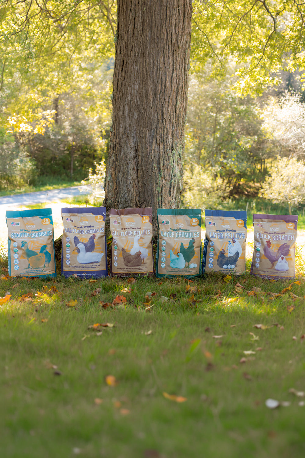 ORGANIC FEED IS HERE!