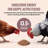 Organic Premium Flock Scratch