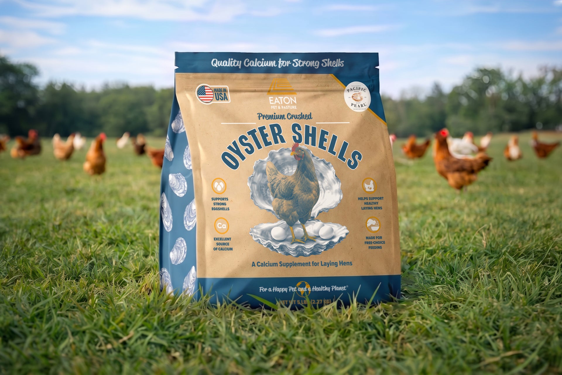 Premium Oyster Shells