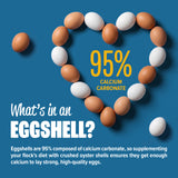 Premium Crushed Oyster Shells