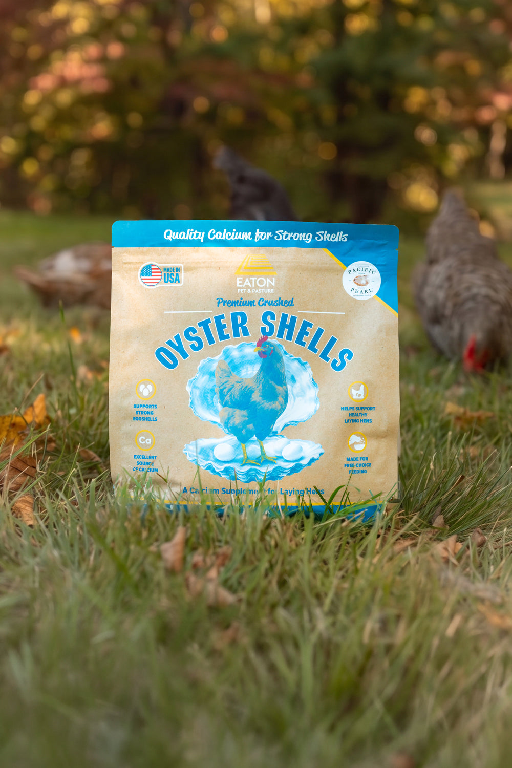 Premium Oyster Shells