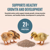 Organic Premium Starter Crumbles
