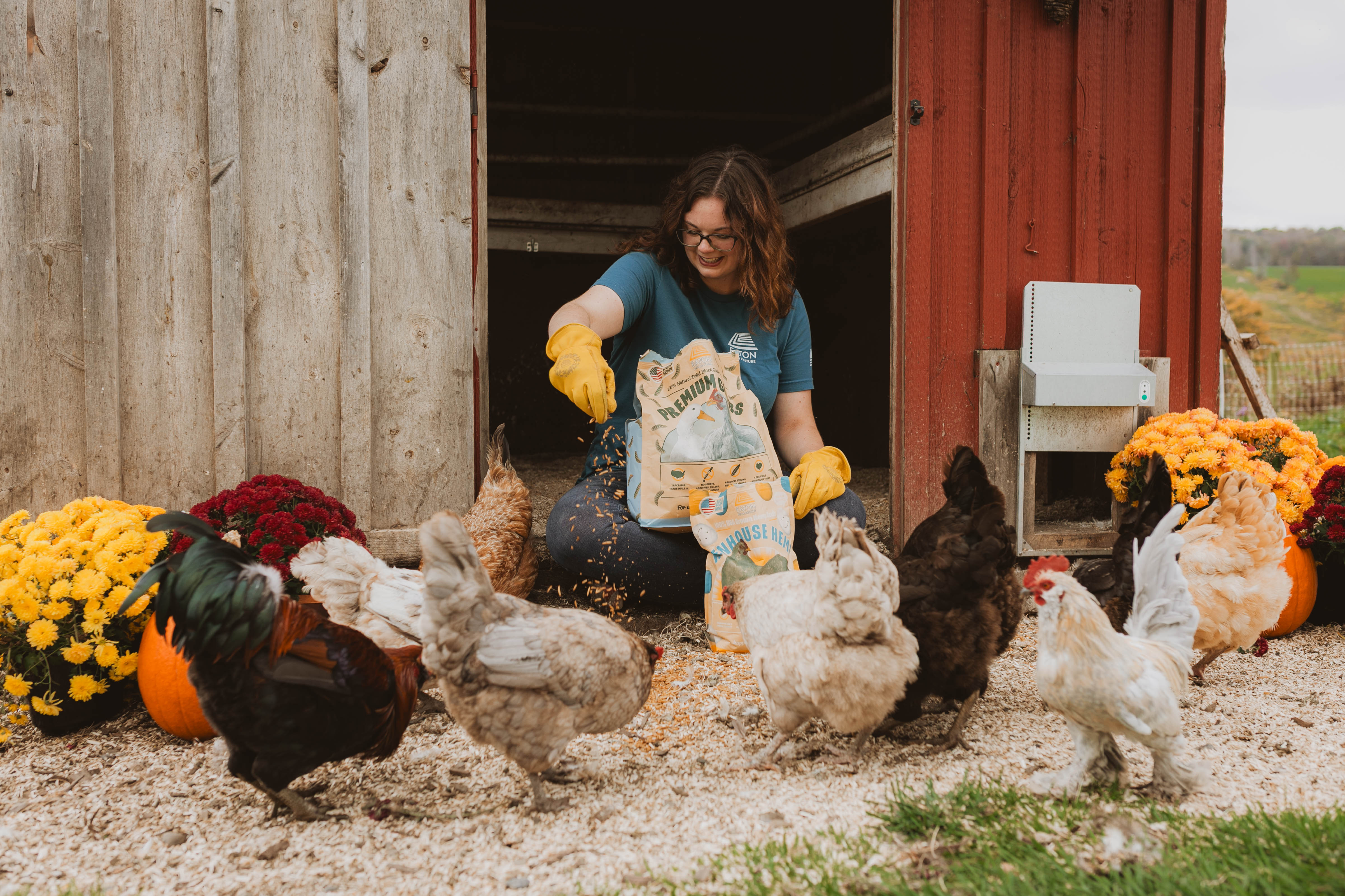 See_the_full_process_in_action