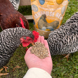 Henhouse Hemp - Omegify your Eggs, the Organic Way! 4 lb