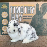 Premium 1st Cut Blend  Timothy Hay (6lb)